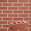 Picture of Accrington Class B Engineering Brick 215 x 65mm